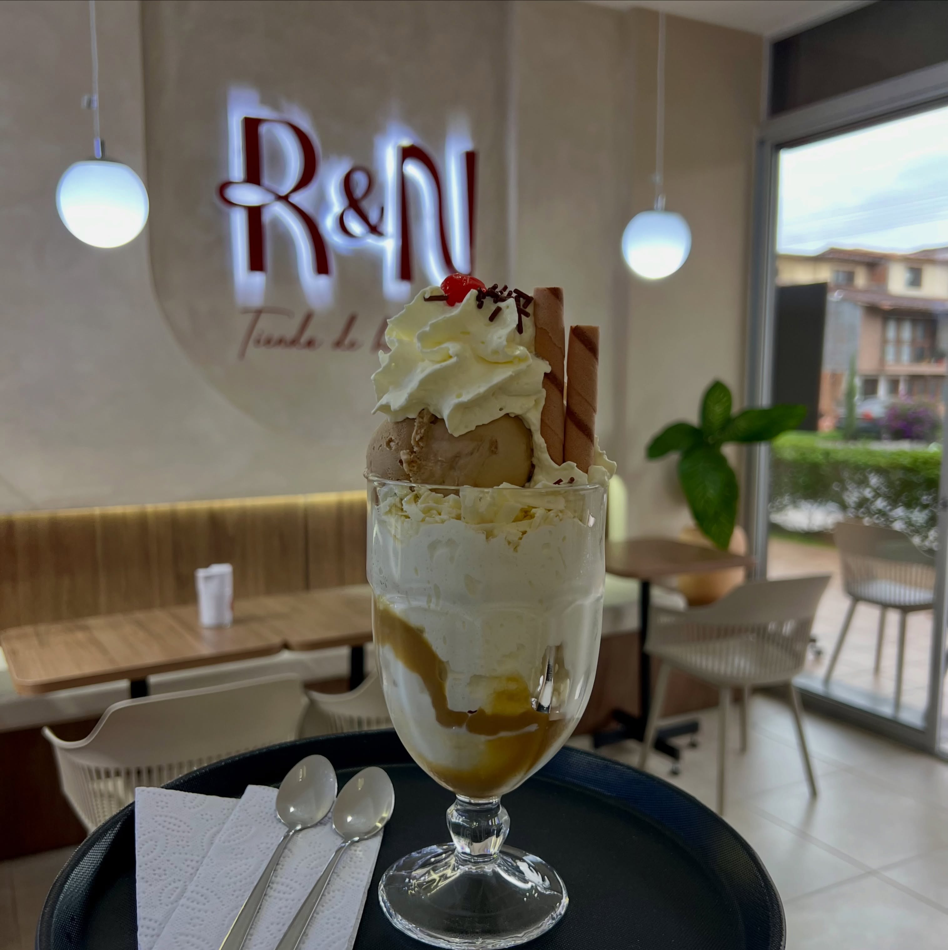Elige tu helado favorito y llévalo contigo para disfrutarlo donde quieras